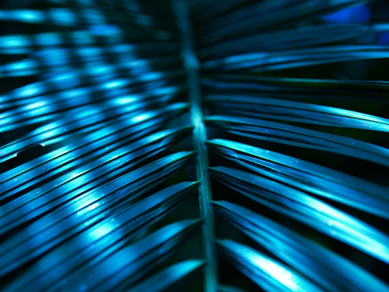 O AZUL PARALELO