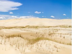 DUNAS E VEGETAÇÃO EM TAVARES, RIO GRANDE DO SUL