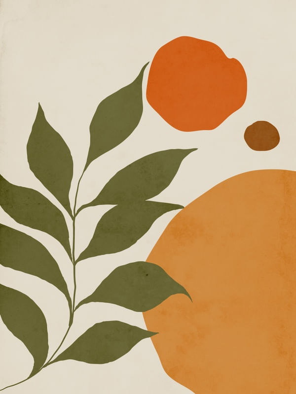 FOLHA E FORMAS ORGANICAS 6