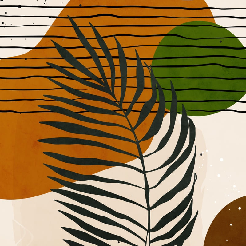 FORMAS FOLHAS E LINHAS NATURAIS 1