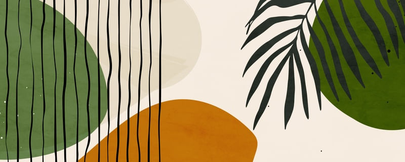 FORMAS FOLHAS E LINHAS NATURAIS 3