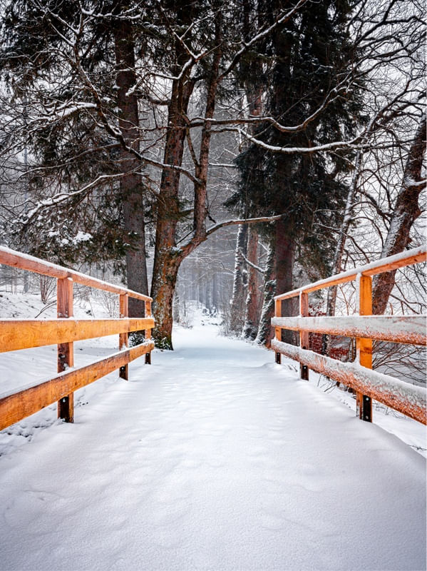 O CAMINHO DA NEVE