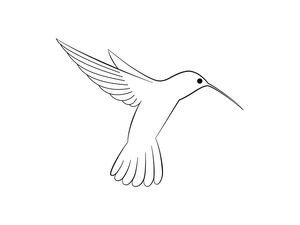 ESTILO BEIJA-FLOR 01