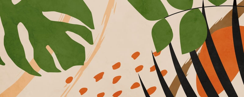 TROPICAL FOLHA E FORMAS 5