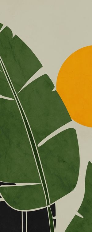 TROPICAL ORGANICO 1