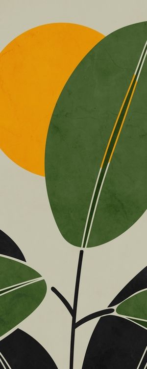 TROPICAL ORGANICO 2