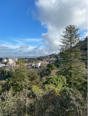 SINTRA