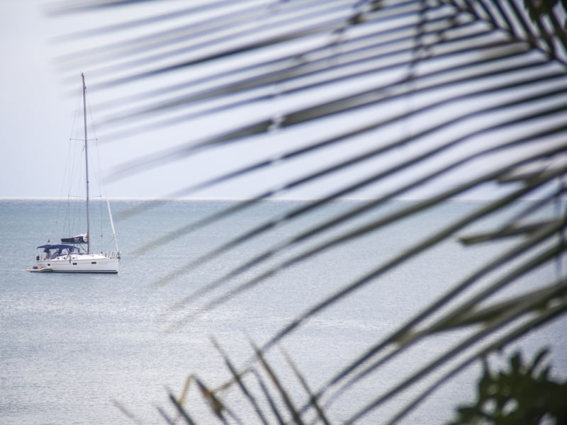BARCO EM ILHA GRANDE - RJ