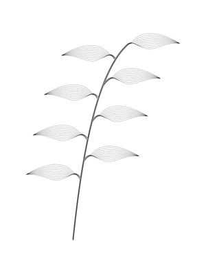 BOTANIQUE 01