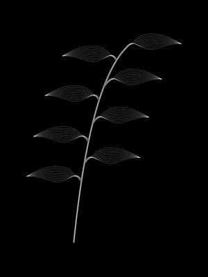 BOTANIQUE 02