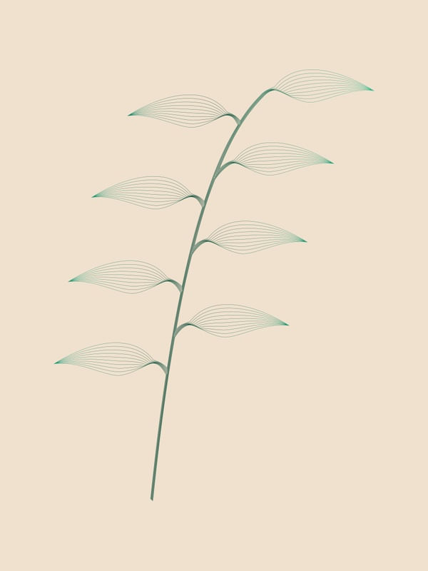 BOTANIQUE 03