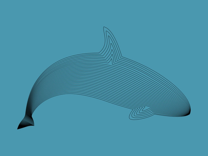 ANIMALE 05