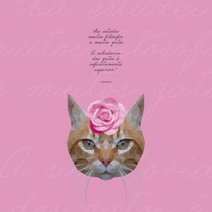 GATA FOFA ROSA