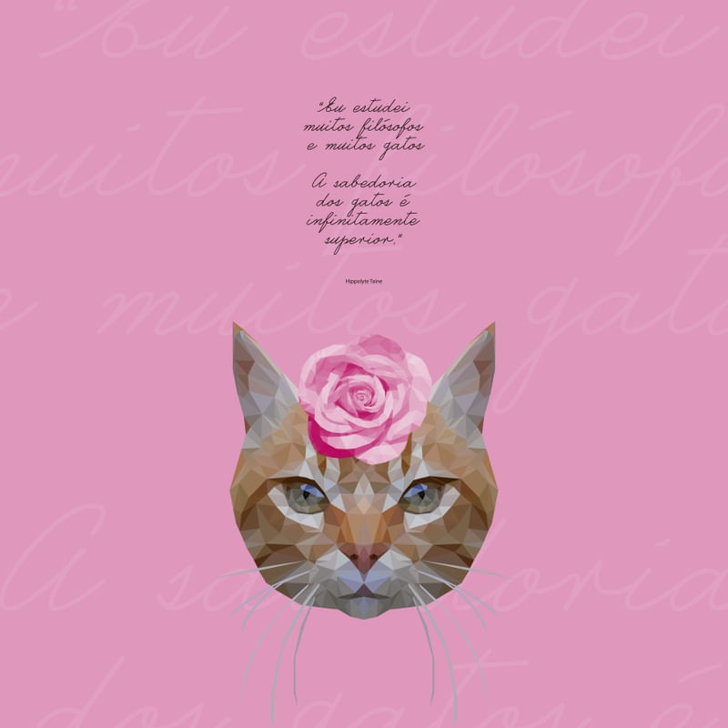 GATA FOFA ROSA