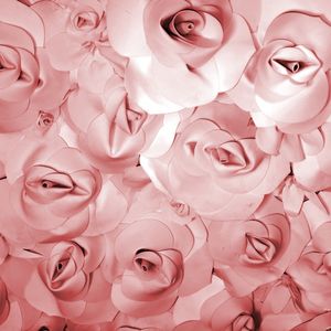 ROSAS ROSAS