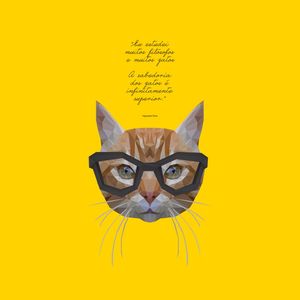 GATO FILOSÓFICO AMARELO