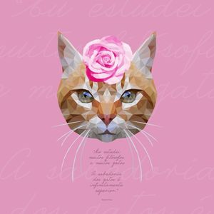 GATA FILOSÓFICA ROSA QUADRADO 02