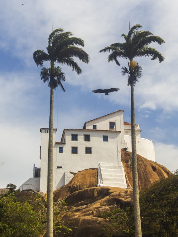 PÁSSARO NO CONVENTO DE NOSSA SENHORA DA PENHA
