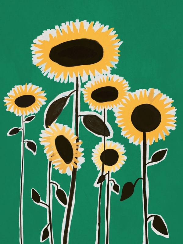 SUNFLOWERS 6