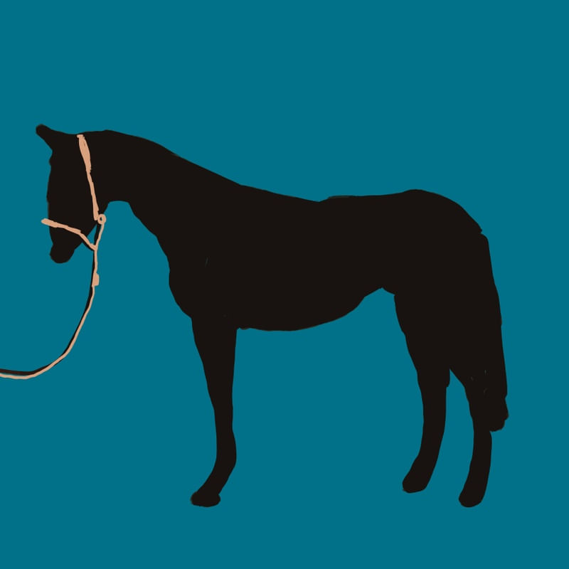 MINIMAL HORSE 2