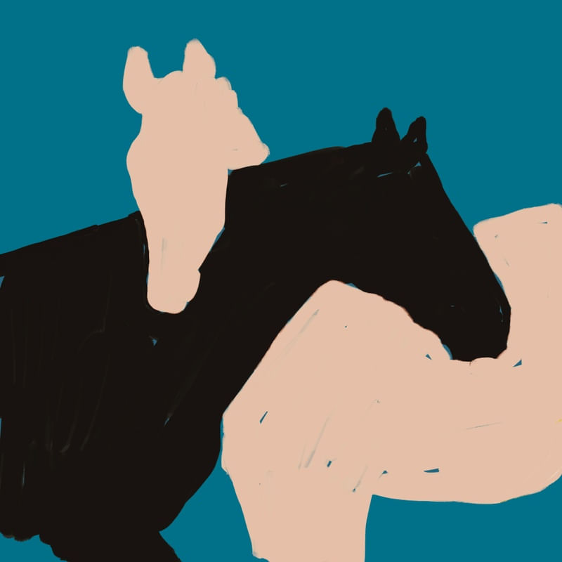 MINIMAL HORSES 2