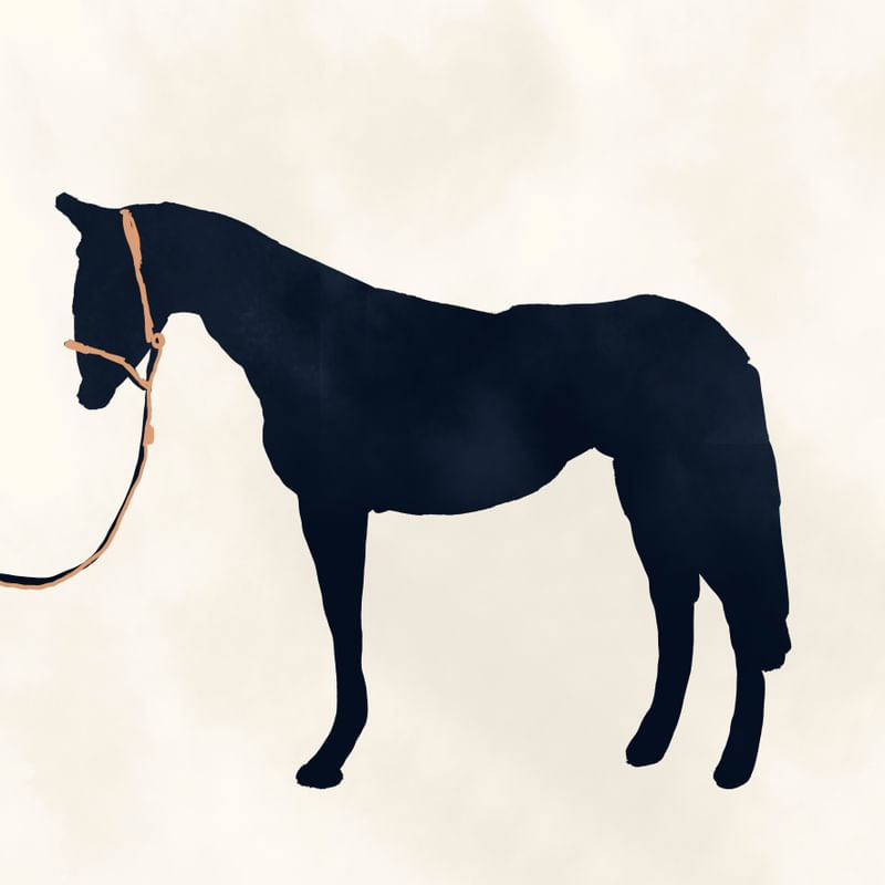 MINIMAL HORSE 3