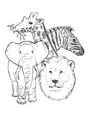 ANIMAIS SELVAGENS - ILUSTRAÇÃO