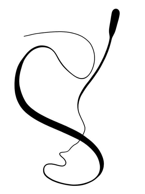 LINHA 2
