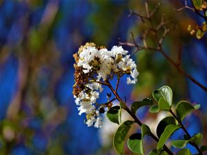 GPJ_200605503