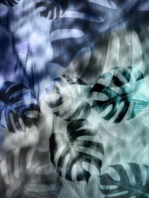 MONSTERA BLUE