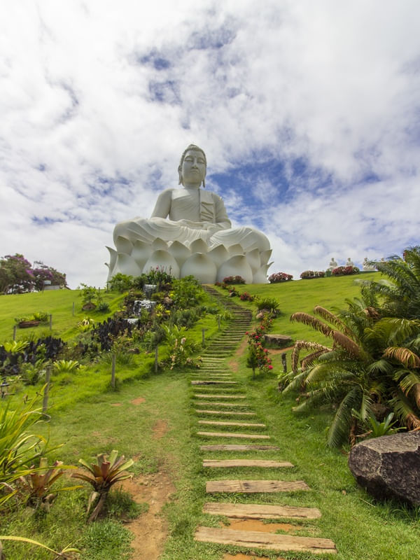 CAMINHO PARA O BUDA