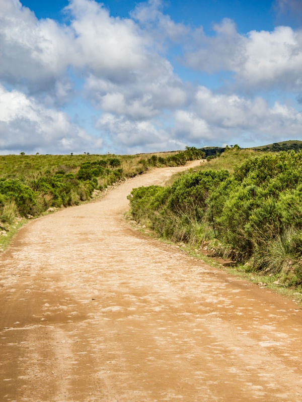 ESTRADA DE CHÃO NOS CAMPOS DE CIMA DA SERRA