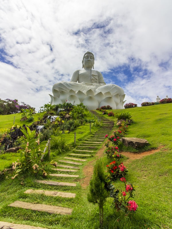 CAMINHO FLORIDO PARA O BUDA