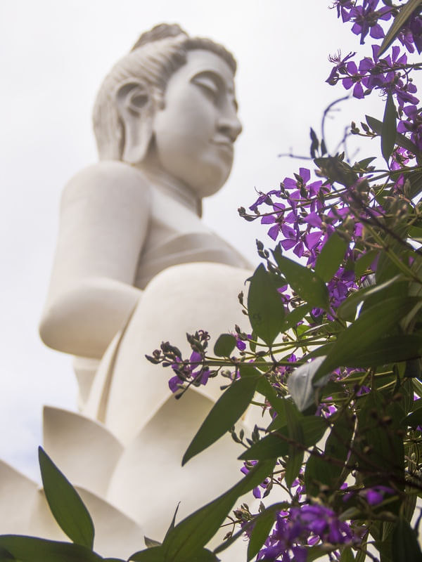 BUDA COM FLORES