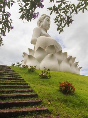 CAMINHO FLORIDO PARA O BUDA I