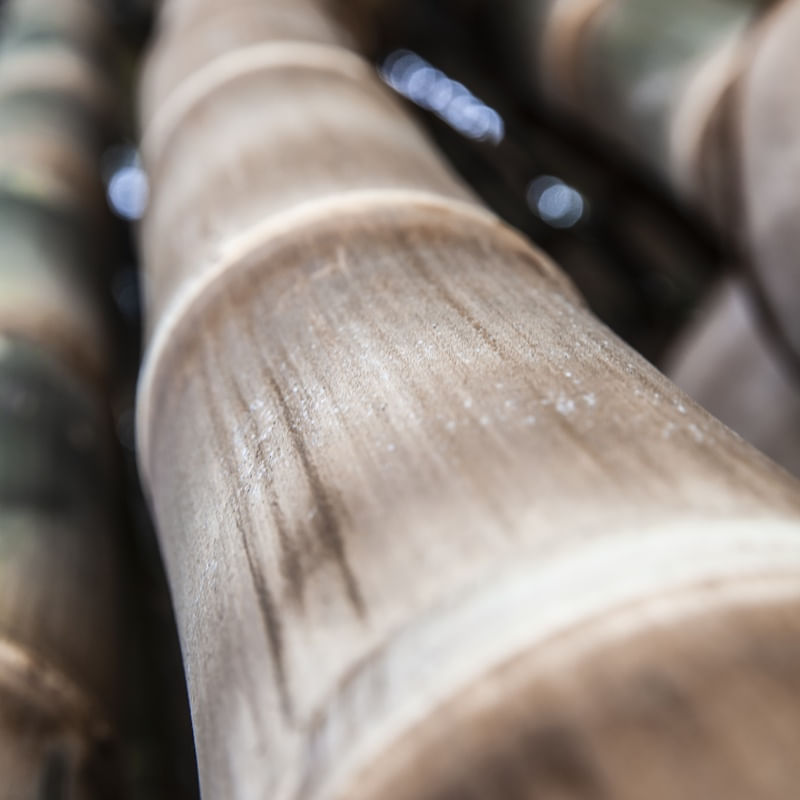 CLOSE BAMBU - UE