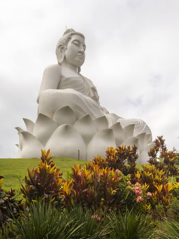 BUDA COM FLORES I