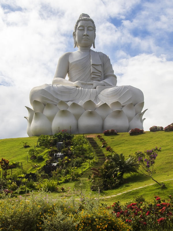 BUDA COM FLORES II