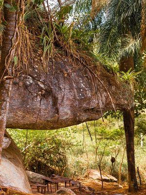 BICHO PEDRA