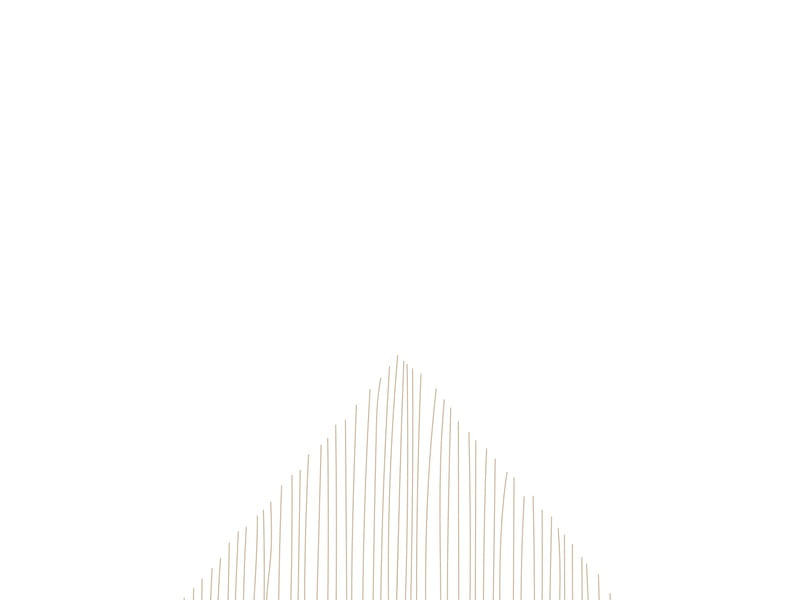 LINHAS MINIMALISTAS PAISAGEM 2