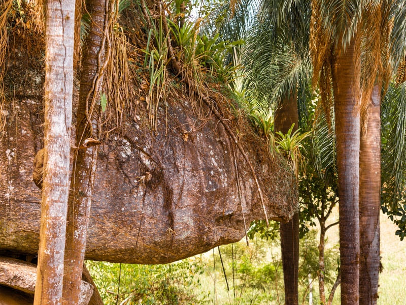 PEDRA MONTANHA