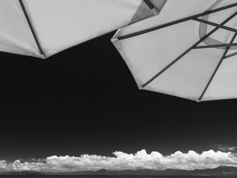 HORIZONTE DE VERÃO II