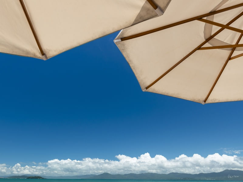 HORIZONTE DE VERÃO III