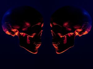 TWIN SKULLS