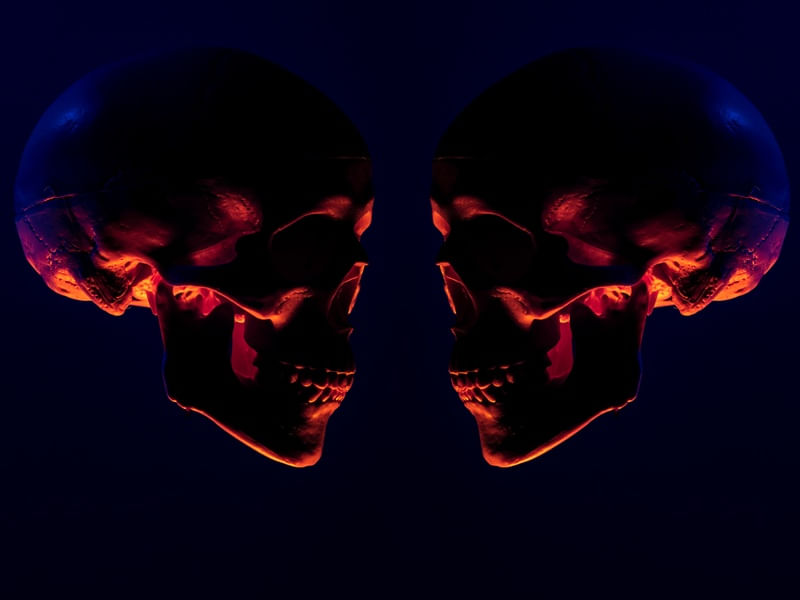 TWIN SKULLS