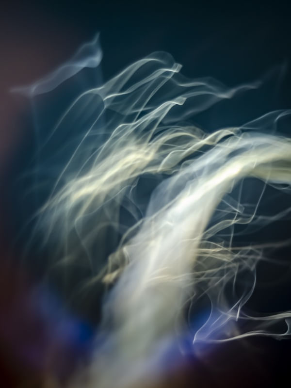 JELLYFISH DANCE 2