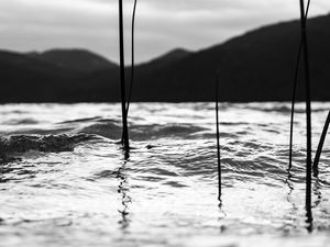 CALMARIA | LAGOA DO PERI EM PRETO E BRANCO | FLORIANÓPOLIS