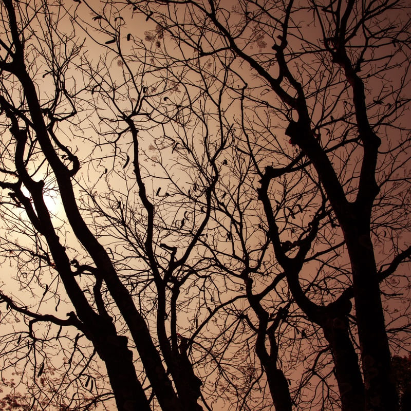 CONTRASTES UE