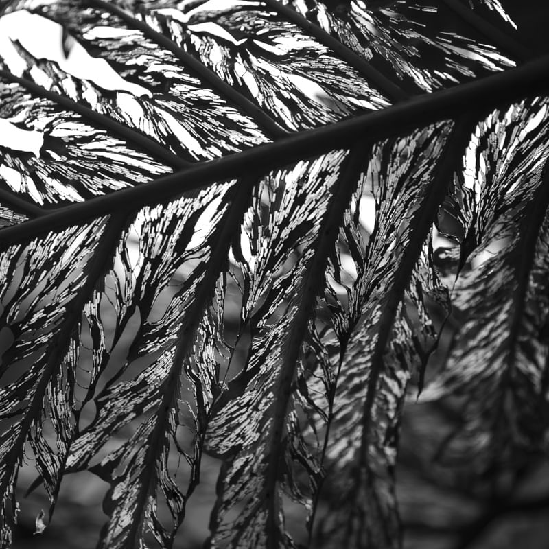 ABSTRATA - UE