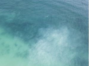 DO ALTO, TULUM OCEANO